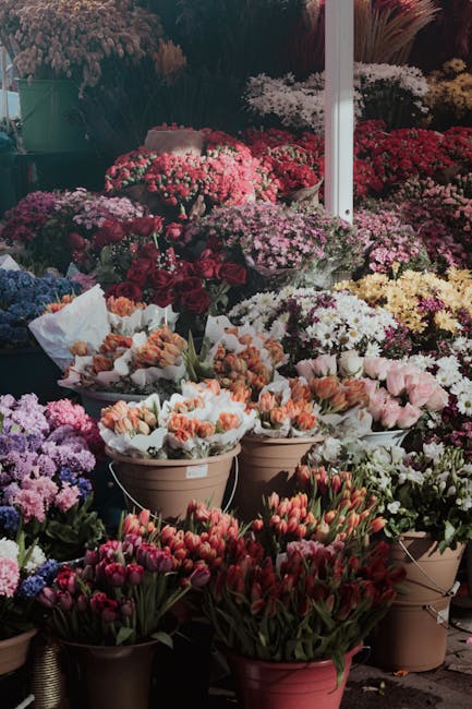A vibrant display of various potted and cut flower arrangements at a floral market. The collection features tulips with pink and red petals, clusters of small, multi-colored chrysanthemums in shades o