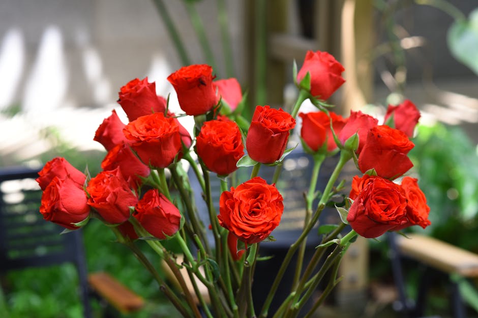 A bouquet of vivid red roses with lush, velvety petals and green stems, arranged in a dense cluster. The roses are in various stages of bloom, some tightly closed buds and others fully opened, display